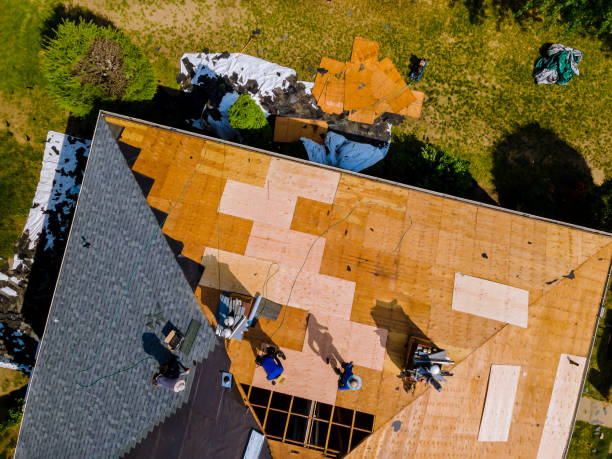 Best Roof Repair Services  in Fords Prairie, WA